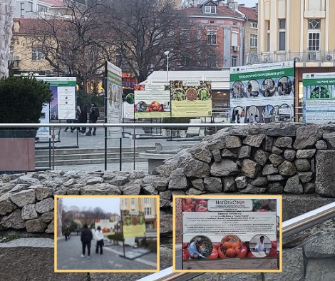 Public Exhibition